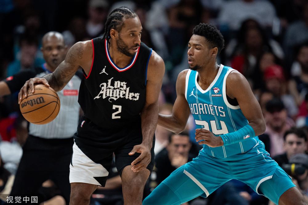 约克雷斯目 约克雷斯目